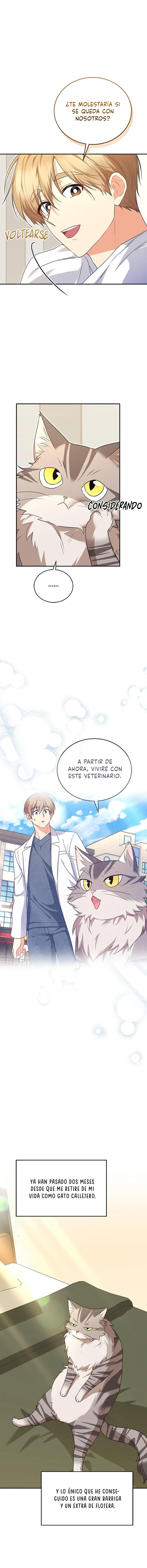 ¡Veterinario! ¿Hola? capítulo 30, página 4