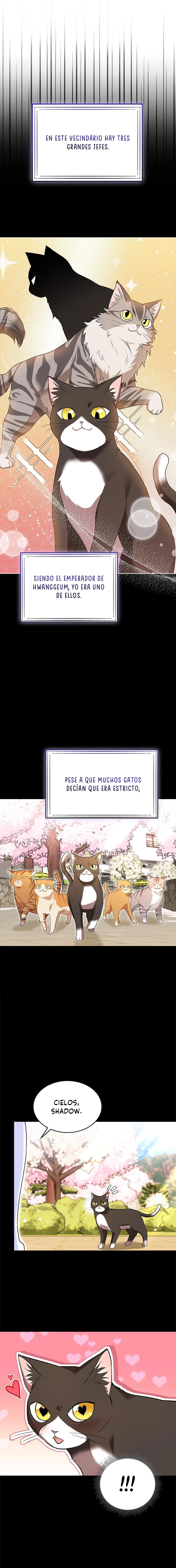 ¡Veterinario! ¿Hola? capítulo 30, página 13