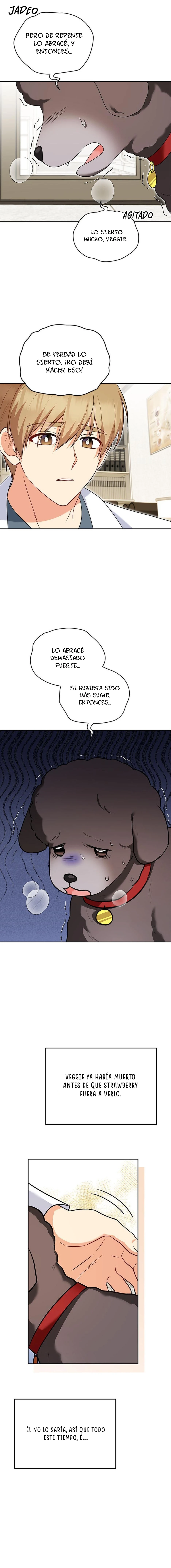 ¡Veterinario! ¿Hola? capítulo 34, página 8