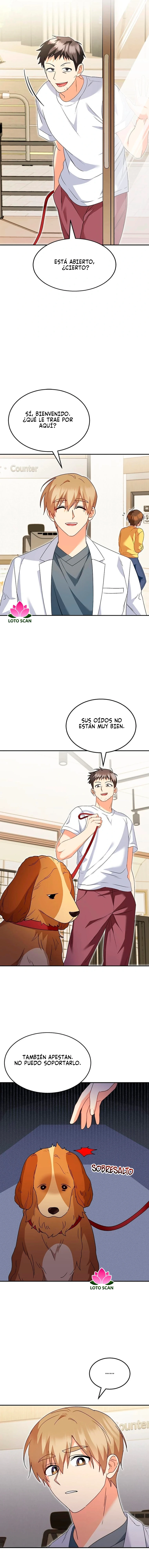 ¡Veterinario! ¿Hola? capítulo 42, página 4
