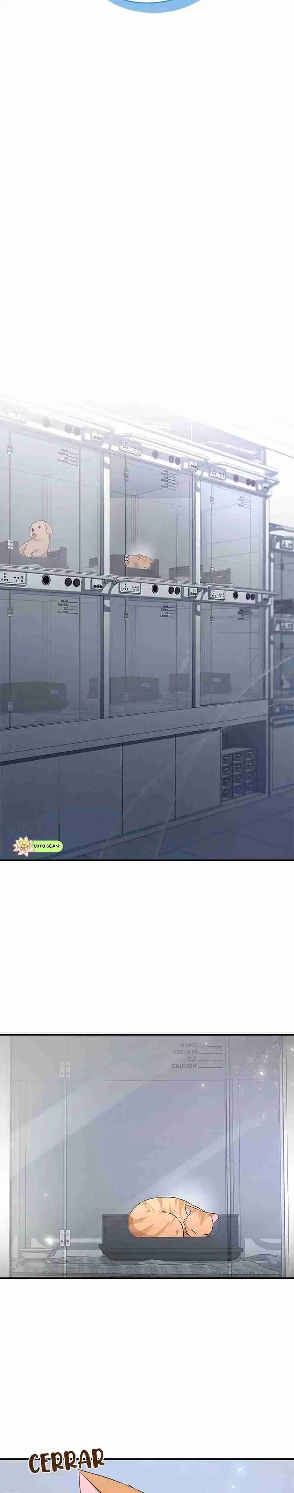 ¡Veterinario! ¿Hola? capítulo 7, página 7