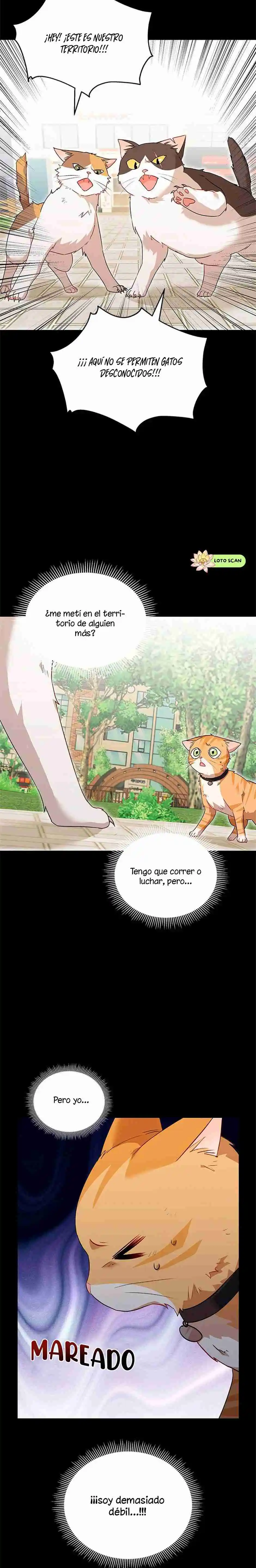 ¡Veterinario! ¿Hola? capítulo 7, página 13