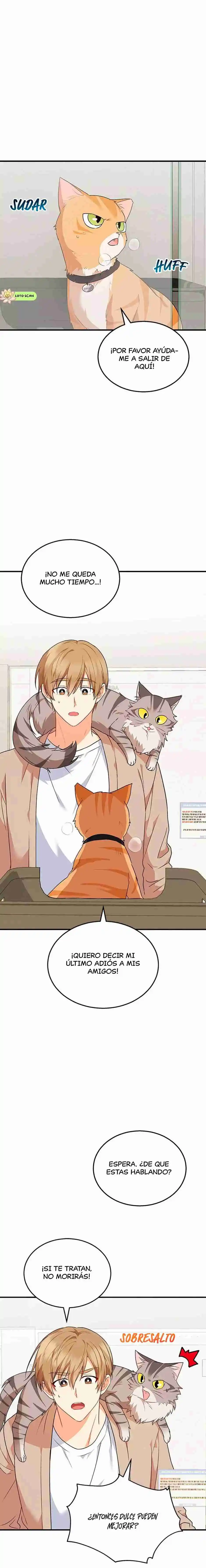 ¡Veterinario! ¿Hola? capítulo 8, página 2
