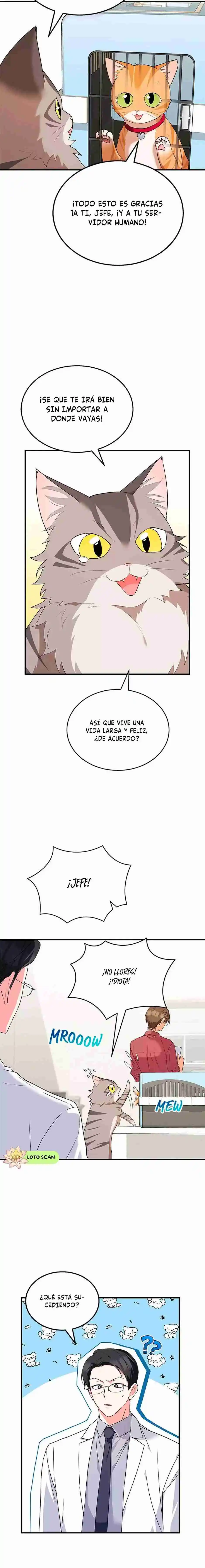 ¡Veterinario! ¿Hola? capítulo 8, página 18