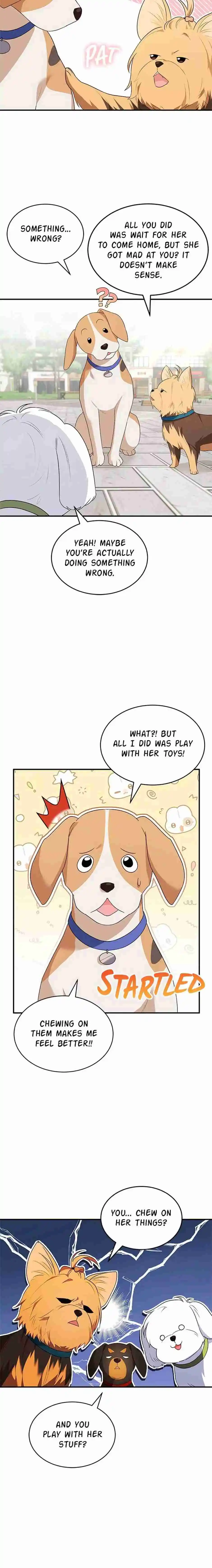 ¡Veterinario! ¿Hola? capítulo 9, página 11