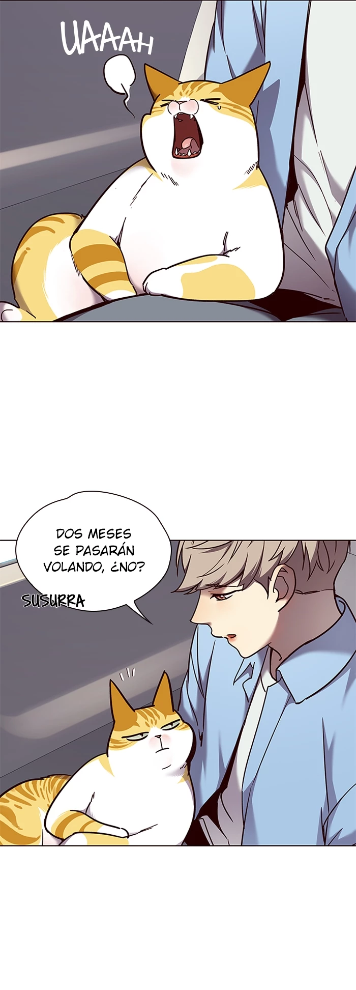 Descarga! capítulo 67, página 14