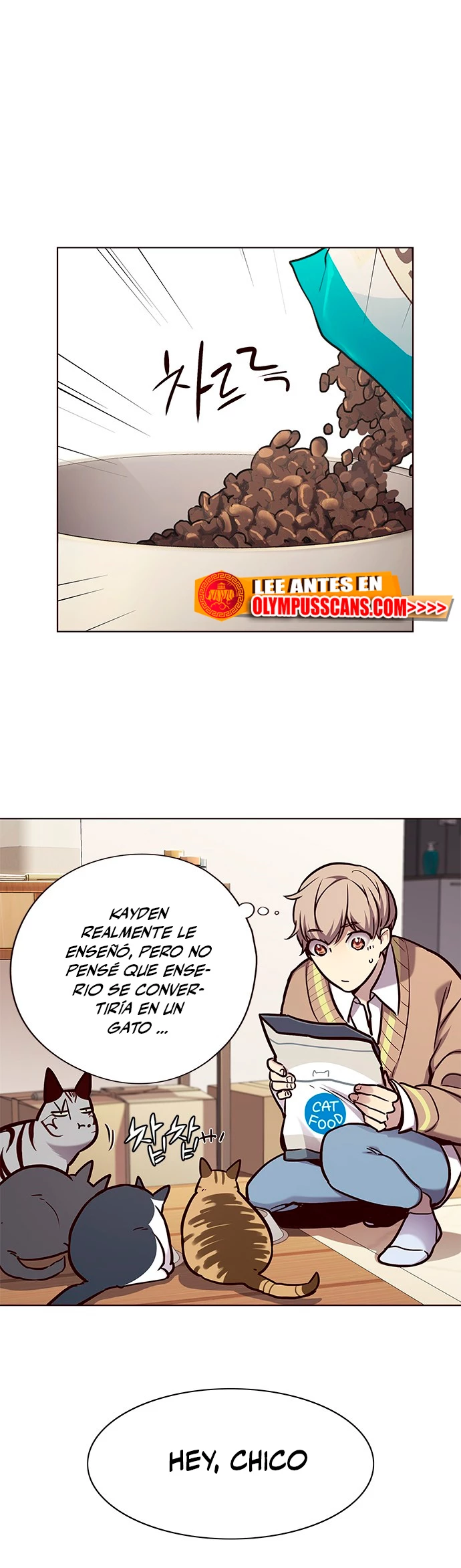 Descarga! capítulo 143, página 17