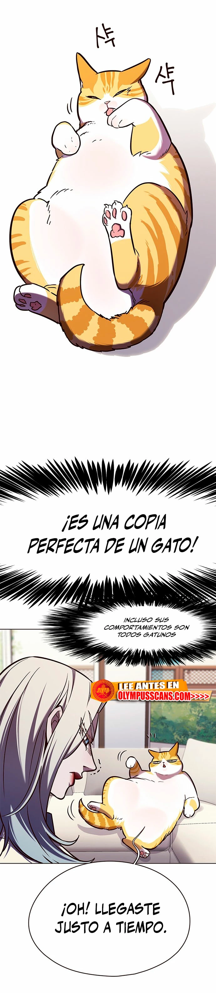 Descarga! capítulo 141, página 24