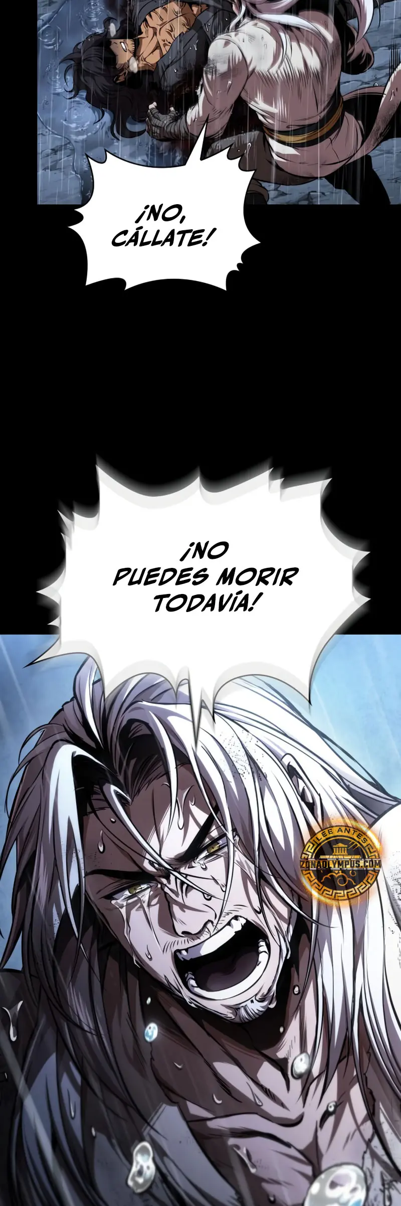 Dios Demonio Cercenador de Brazos capítulo 307, página 9