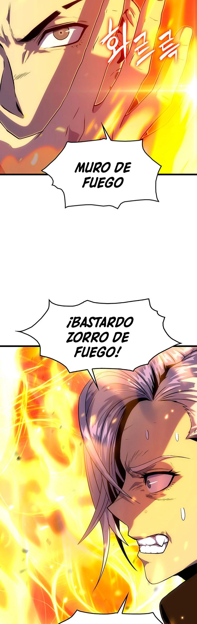 El Descenso Del Tigre capítulo 21, página 10