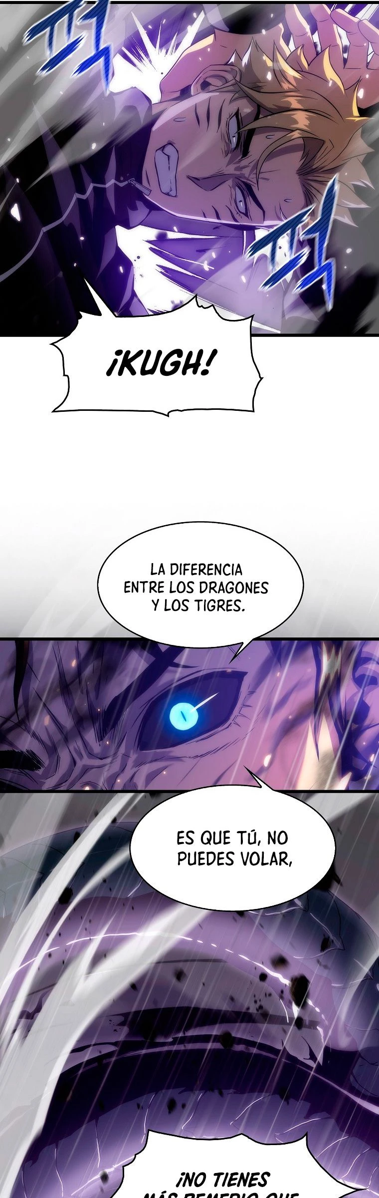 El Descenso Del Tigre capítulo 23, página 17