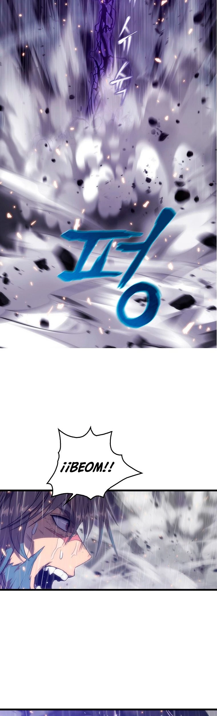 El Descenso Del Tigre capítulo 24, página 17