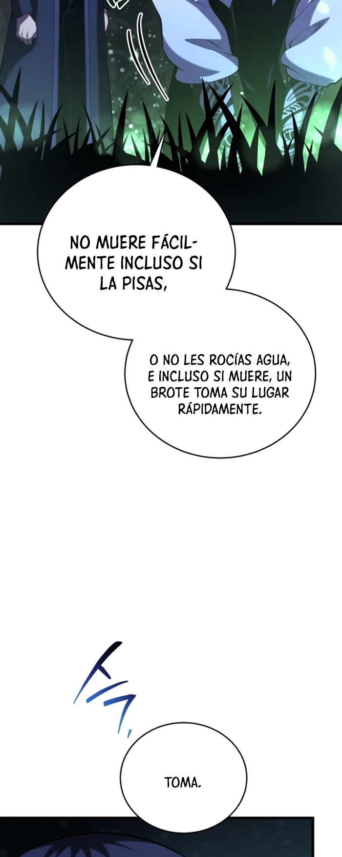 El hijo menor del maestro de la espada capítulo 110, página 12