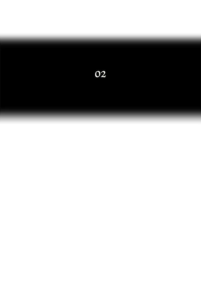 El irregular capítulo 33, página 14