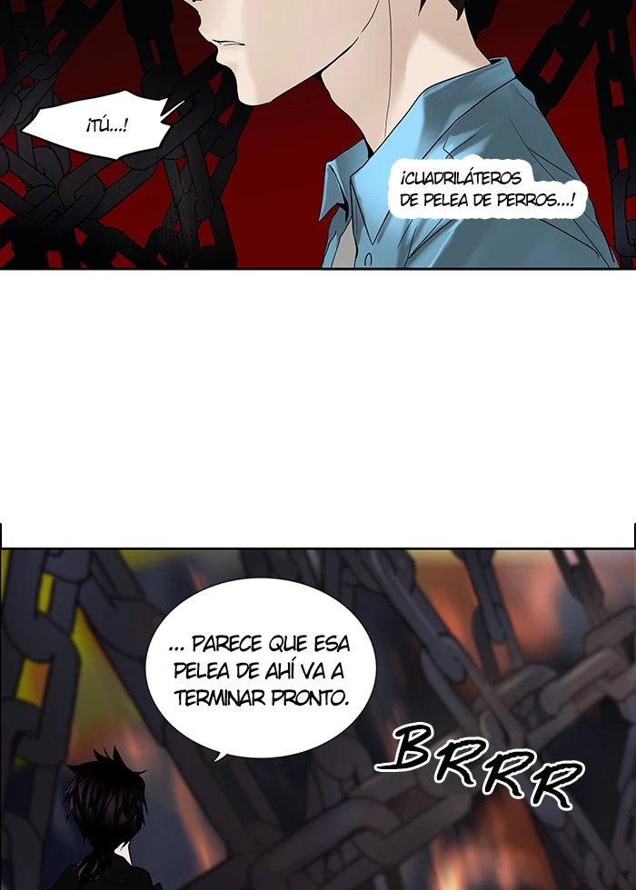 El irregular capítulo 257, página 75