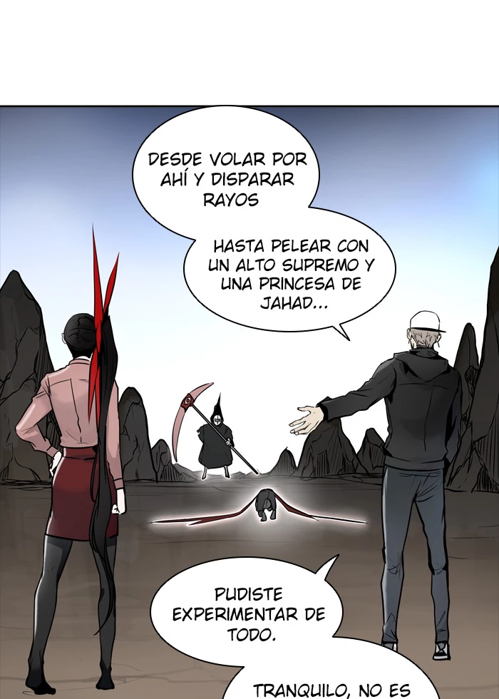 El irregular capítulo 335, página 113