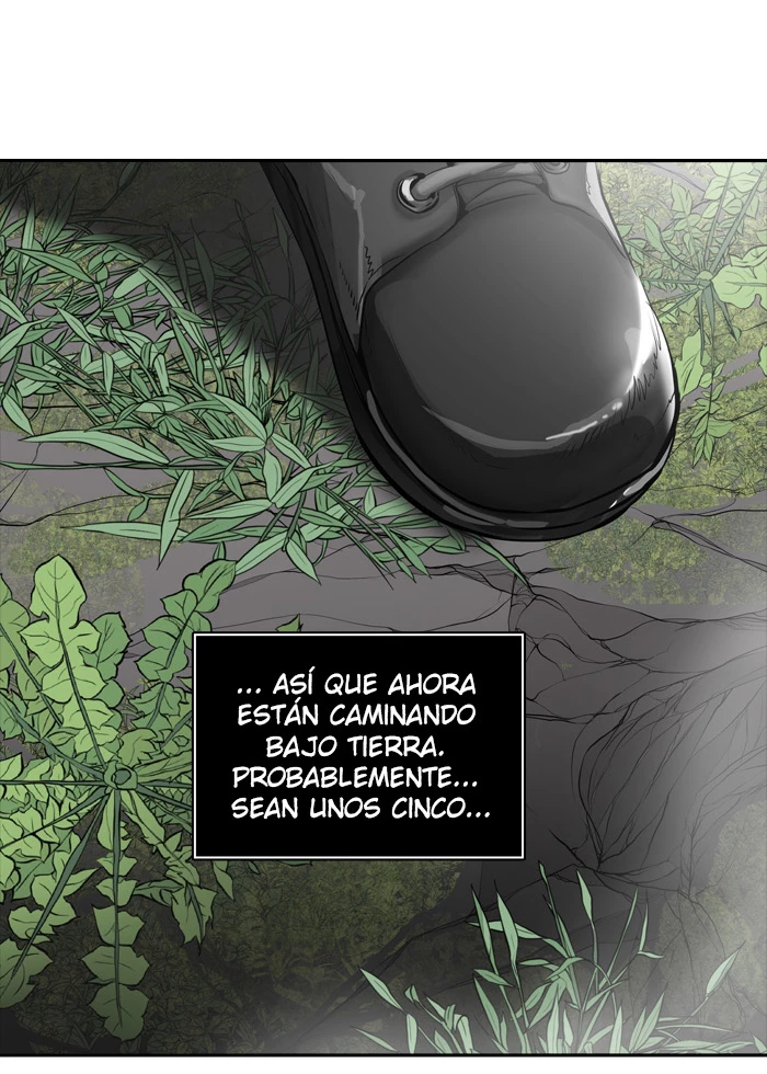 El irregular capítulo 374, página 101