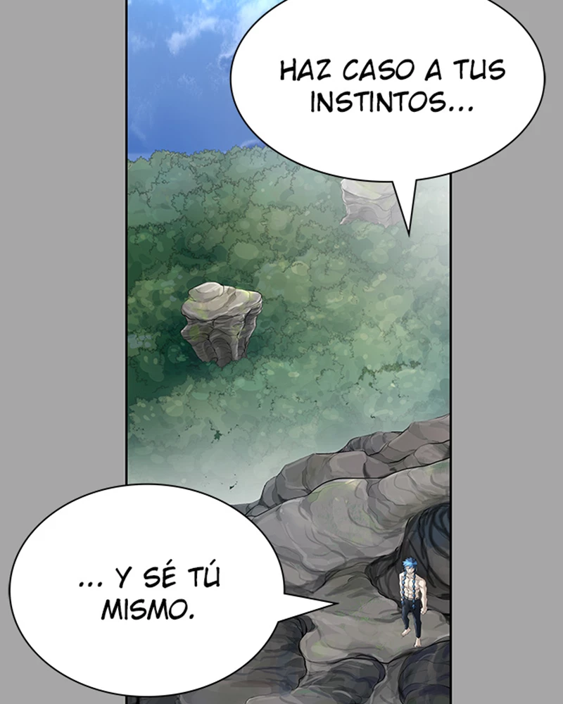 El irregular capítulo 529, página 255