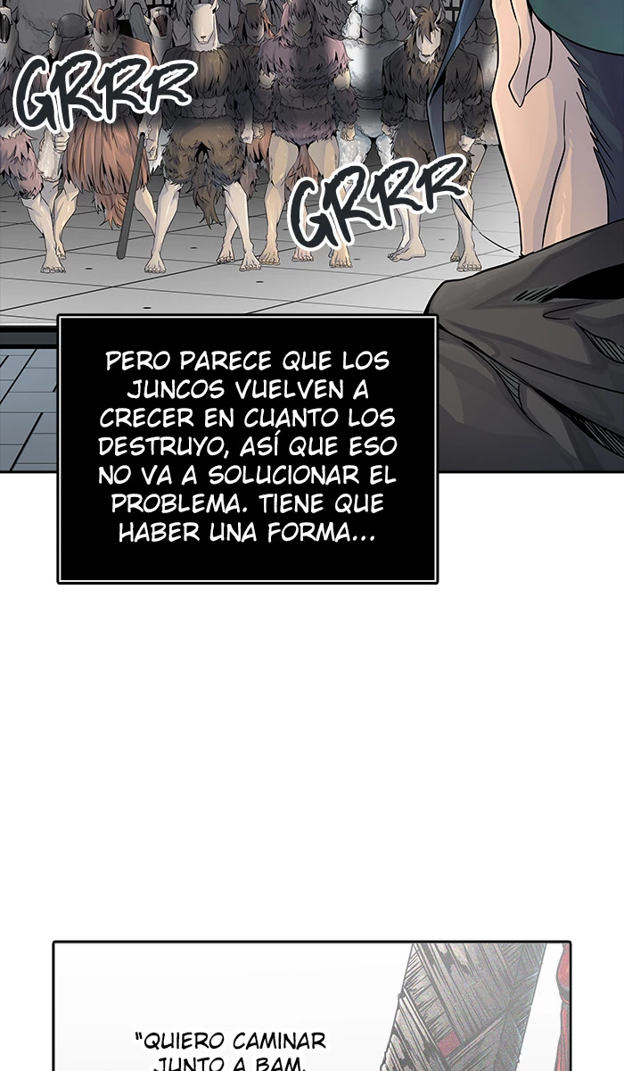 El irregular capítulo 493, página 163