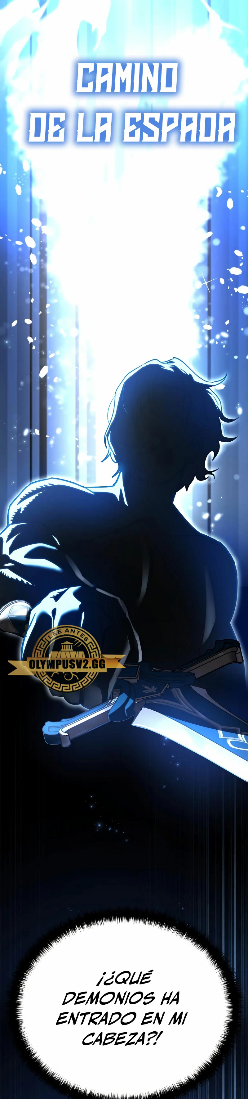 El maestro de la espada acogedor de estrellas capítulo 2, página 47