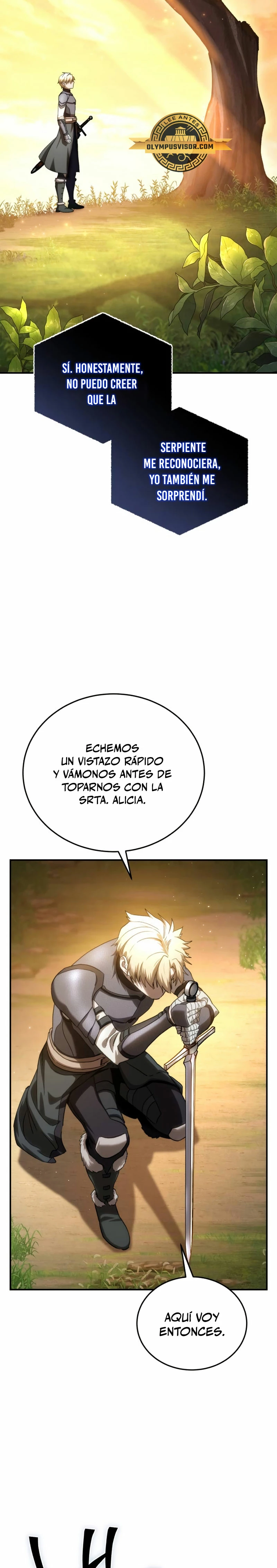 El maestro de la espada acogedor de estrellas capítulo 24, página 15