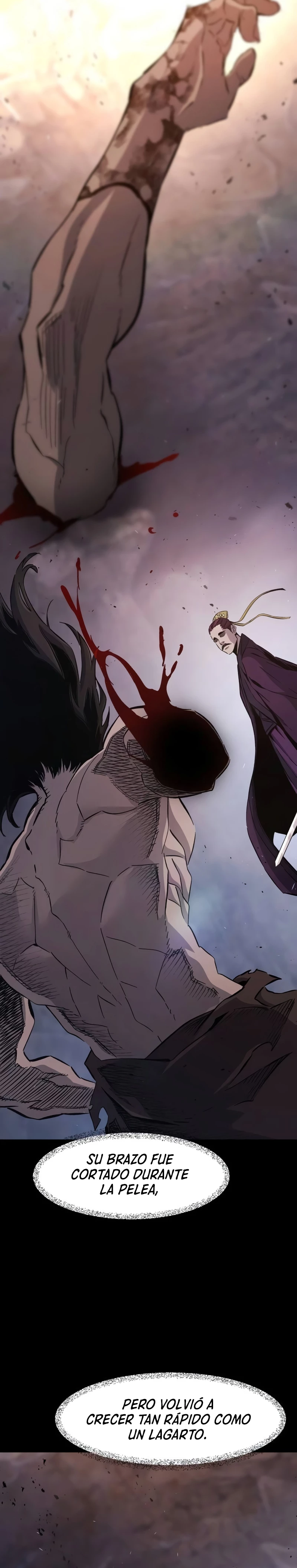 El Sentido Absoluto de las Espadas capítulo 113, página 12