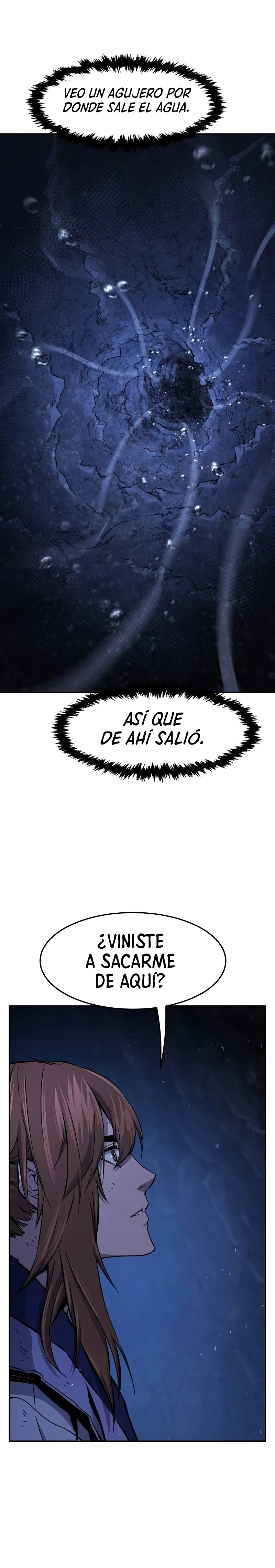 El Sentido Absoluto de las Espadas capítulo 113, página 31