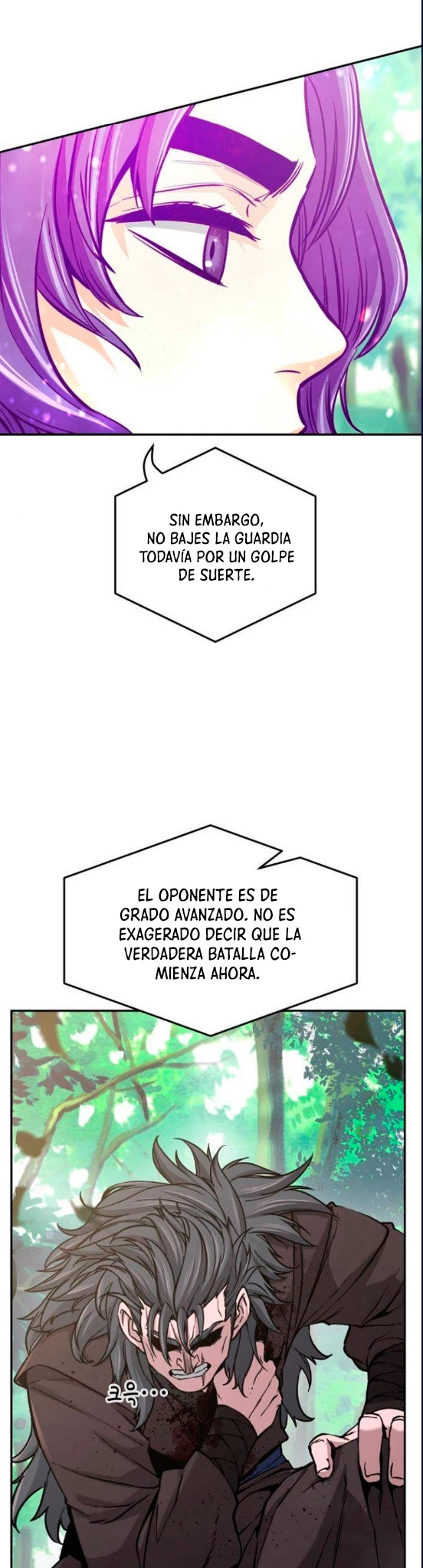 El Sentido Absoluto de las Espadas capítulo 15, página 11