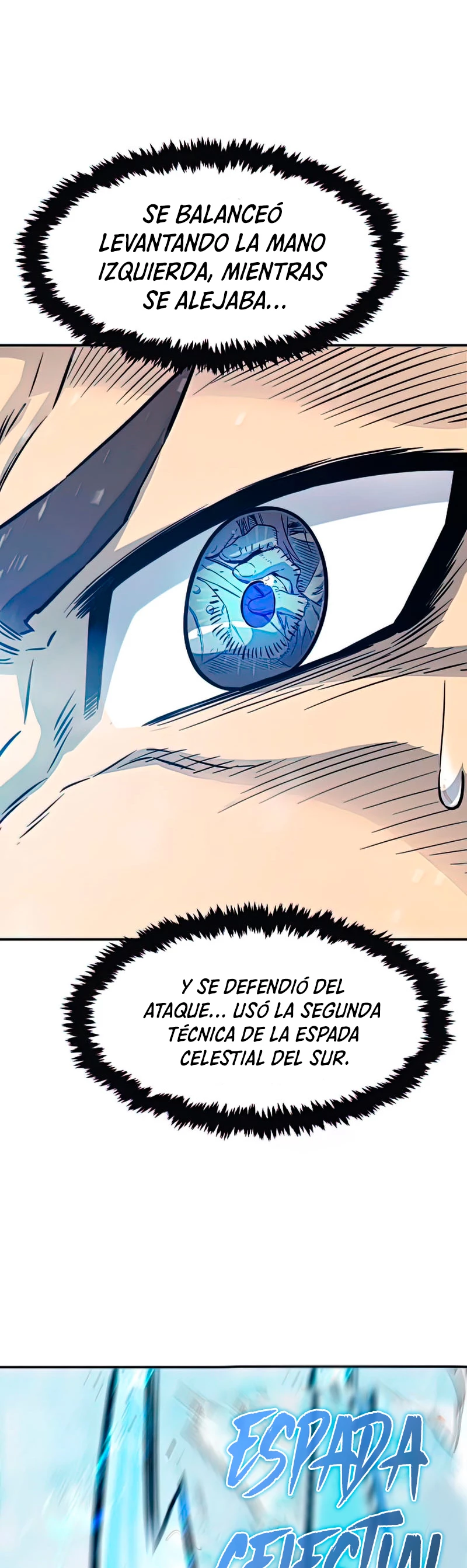El Sentido Absoluto de las Espadas capítulo 18, página 45