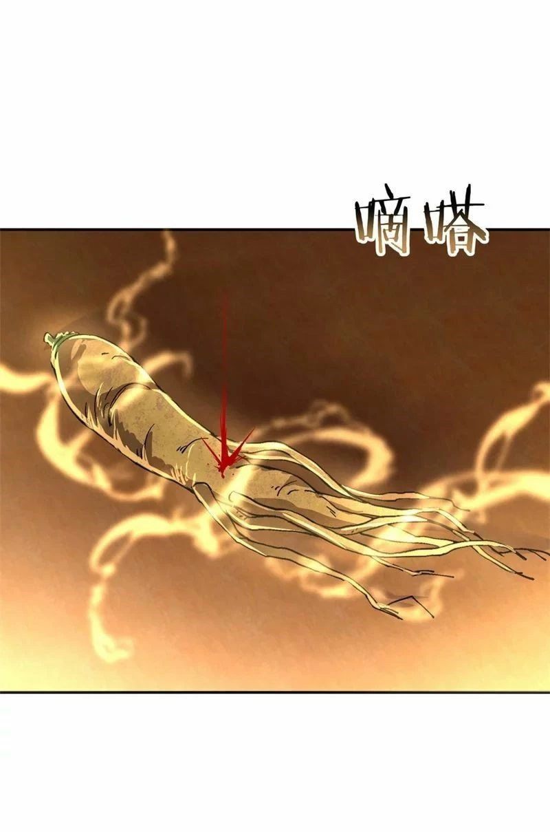 Peerless Battle Spirit capítulo 106, página 25