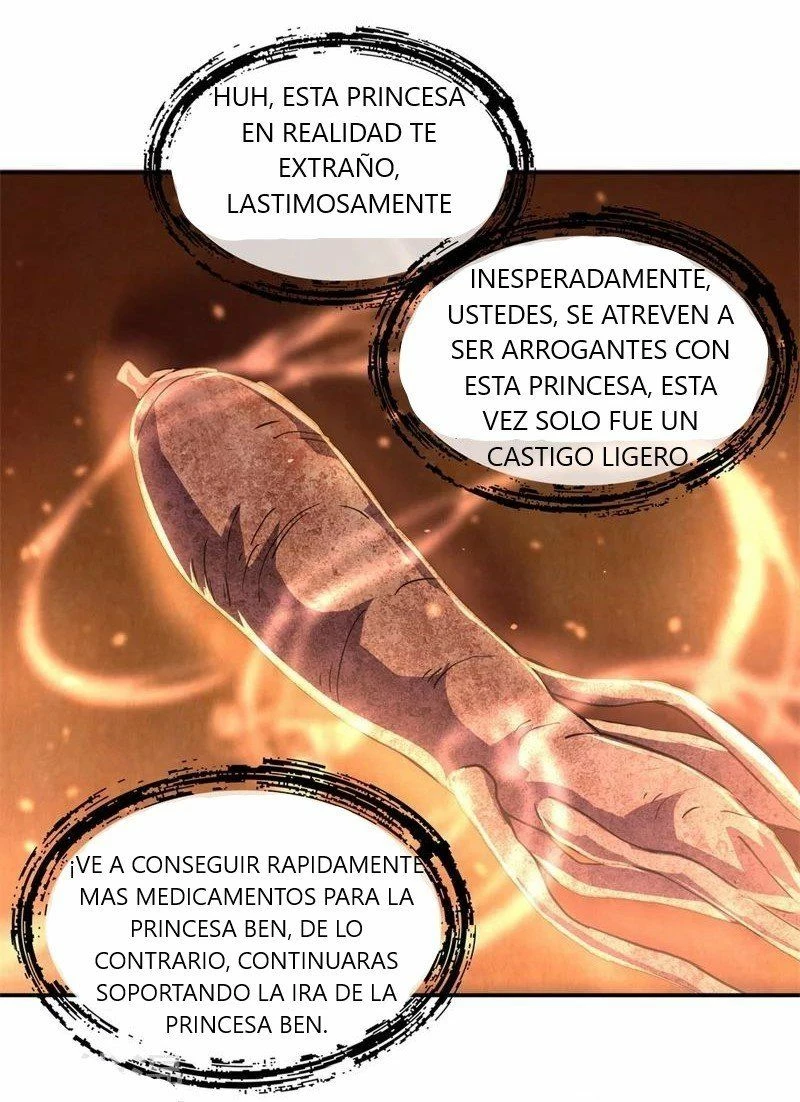 Peerless Battle Spirit capítulo 111, página 13
