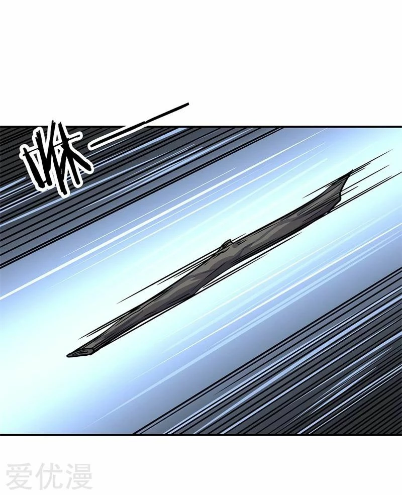 Peerless Battle Spirit capítulo 139, página 7