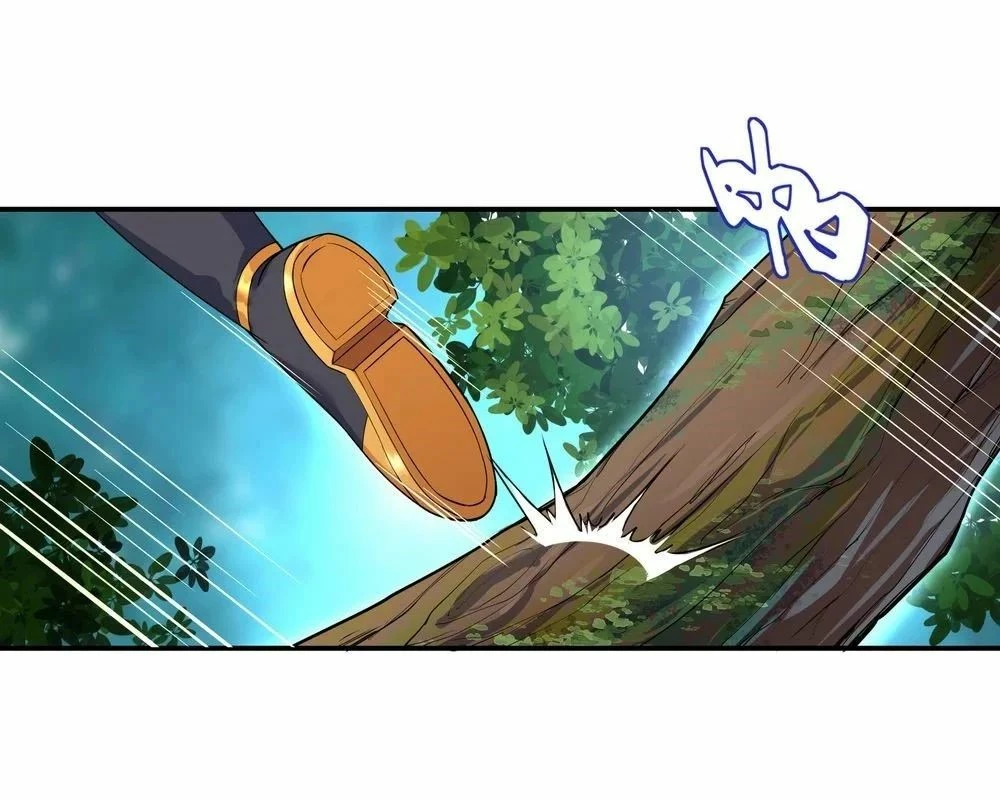 Peerless Battle Spirit capítulo 8, página 3