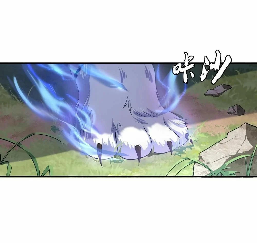 Peerless Battle Spirit capítulo 8, página 19