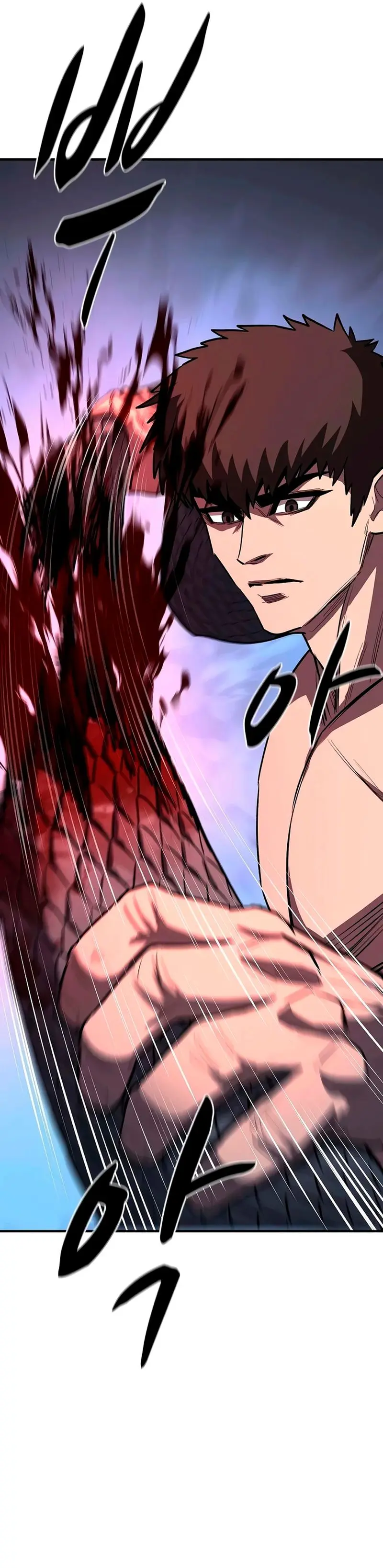 La segunda campaña del Berserker capítulo 29, página 19