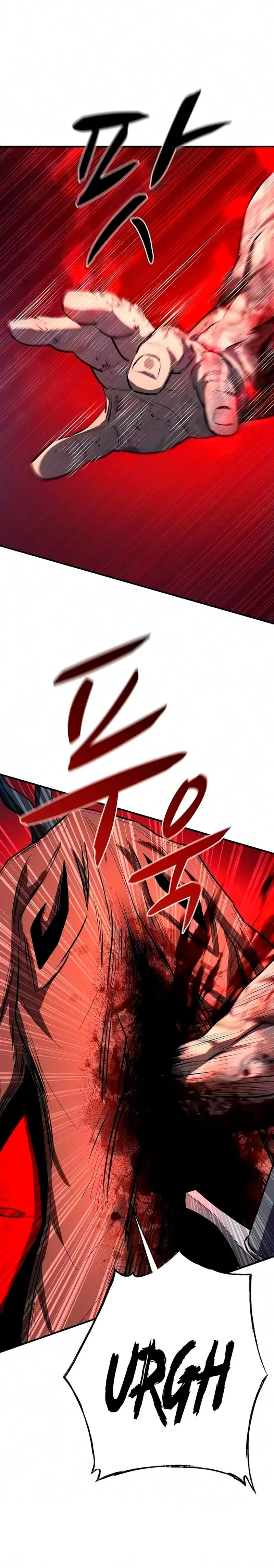La segunda campaña del Berserker capítulo 35, página 2