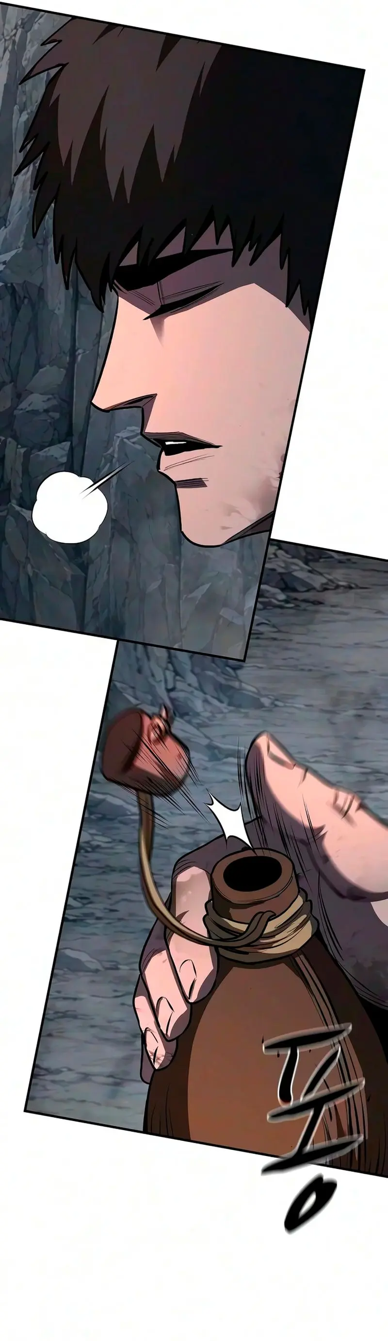 La segunda campaña del Berserker capítulo 41, página 37