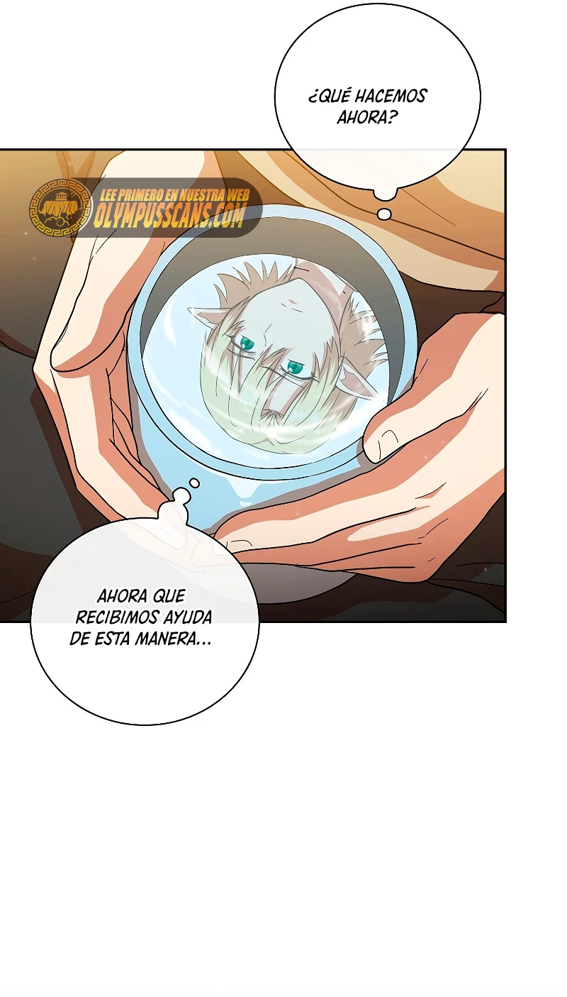 La vida de un mago de la academia de magia capítulo 28, página 15