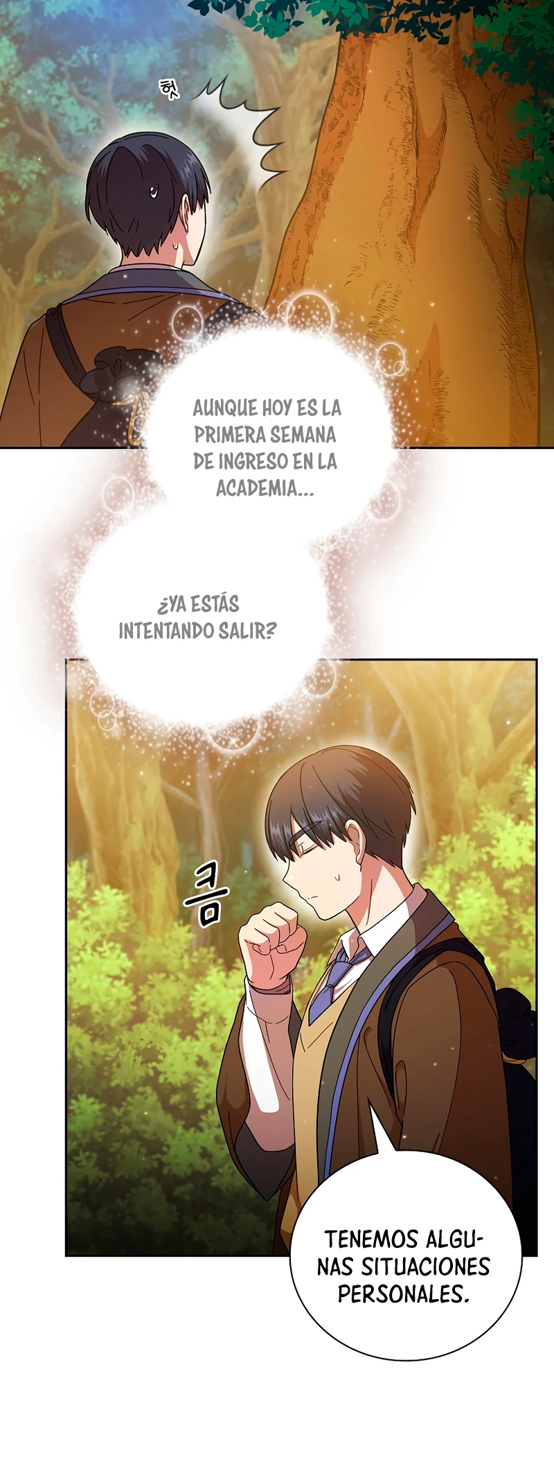 La vida de un mago de la academia de magia capítulo 29, página 48