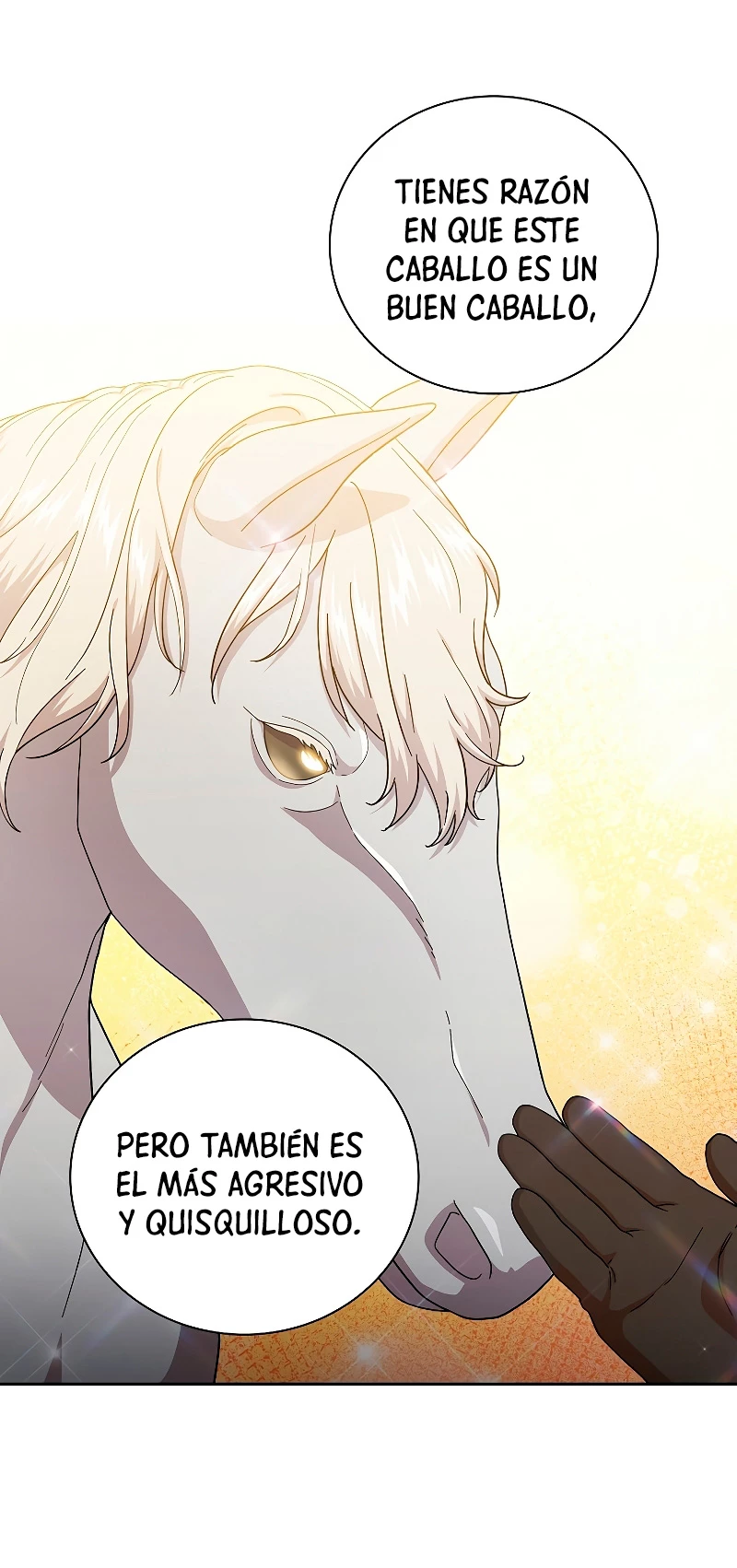 La vida de un mago de la academia de magia capítulo 36, página 13