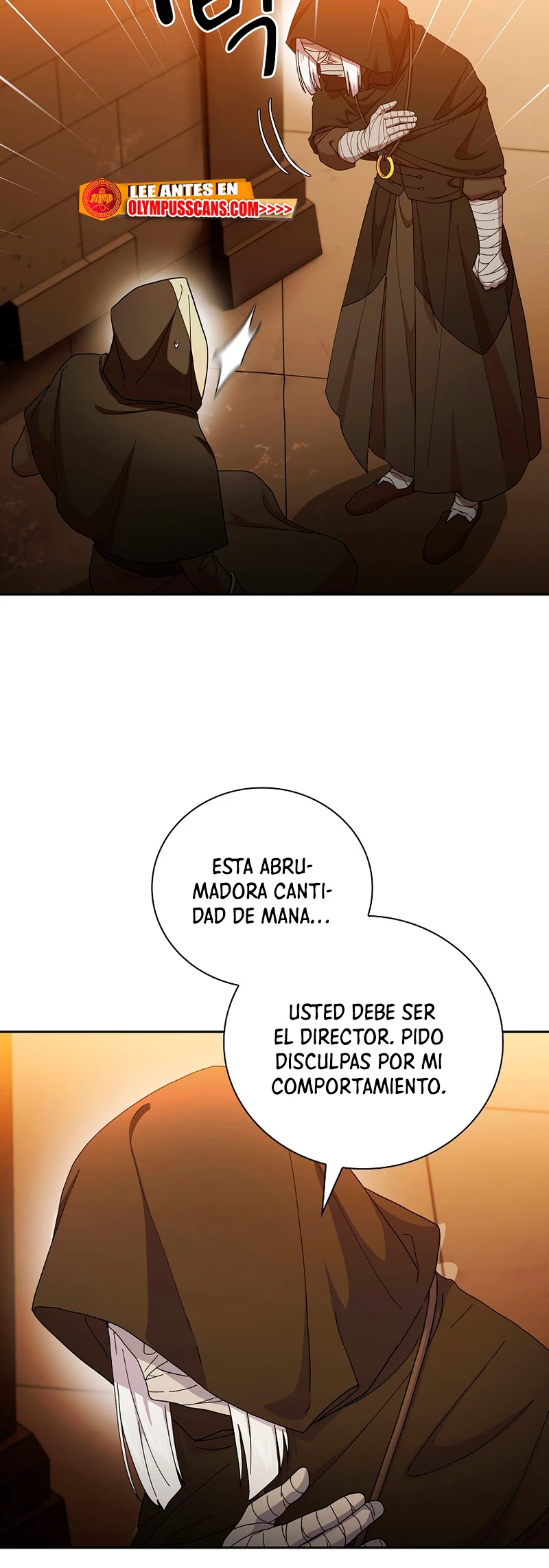 La vida de un mago de la academia de magia capítulo 41, página 25