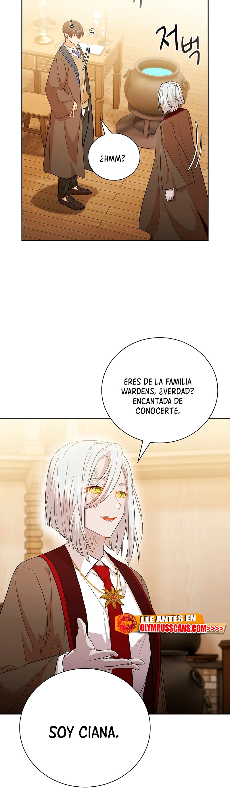 La vida de un mago de la academia de magia capítulo 51, página 17