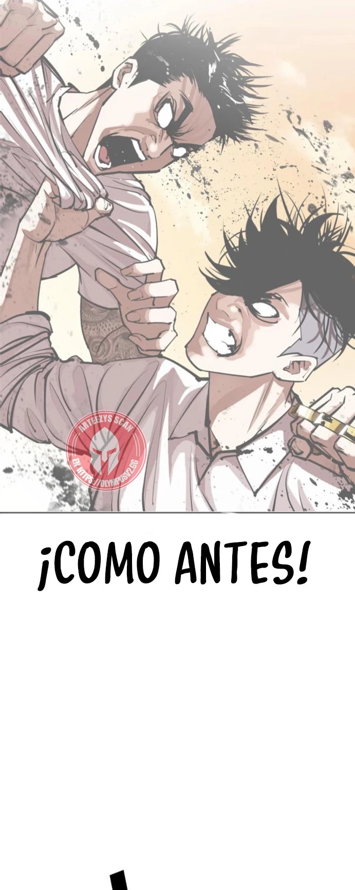 Nueva Cara capítulo 466, página 14