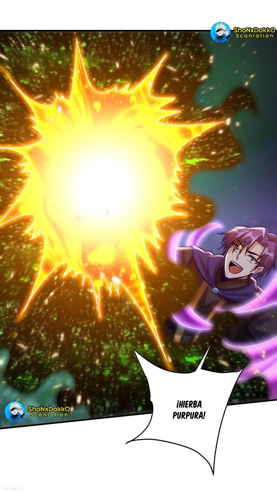 Rise Of The Demon King capítulo 212, página 10