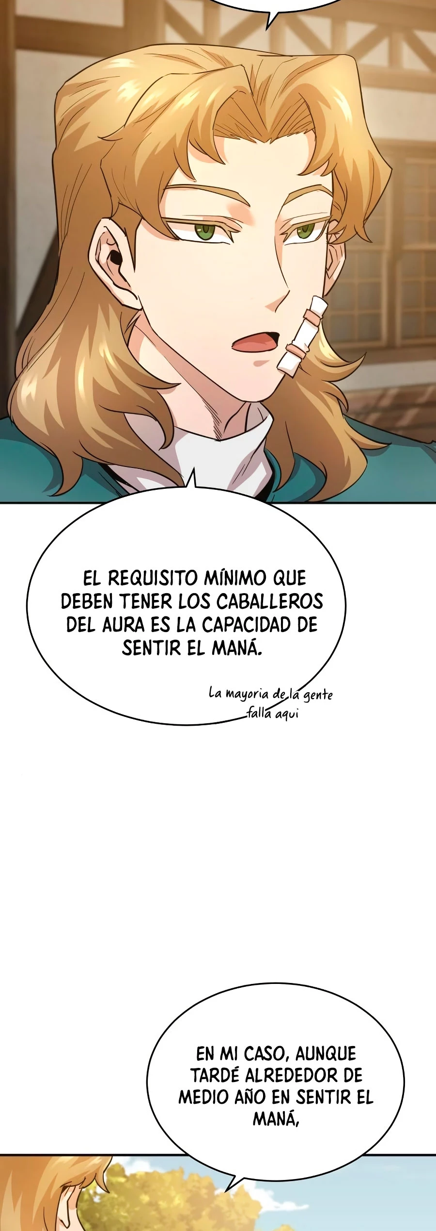 Roman Dmitry capítulo 11, página 13