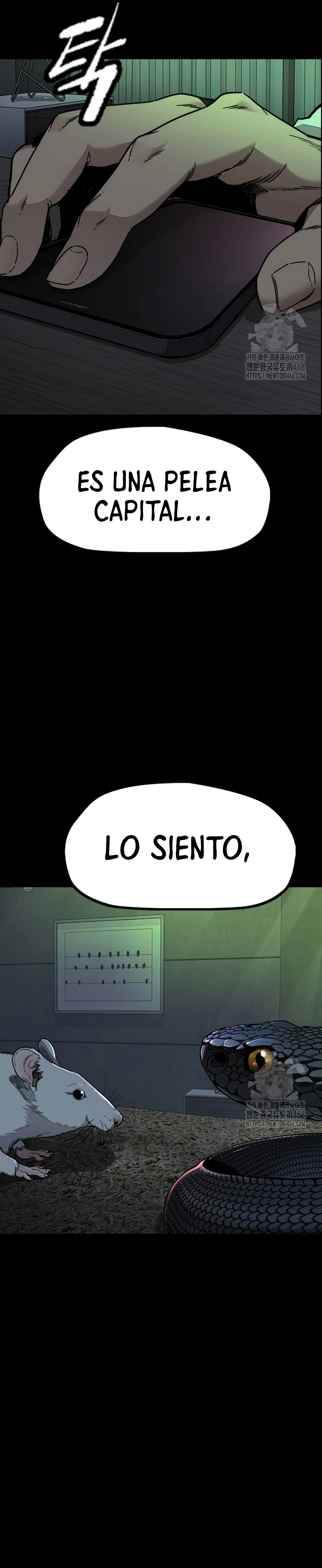 RompeVientos capítulo 523, página 44