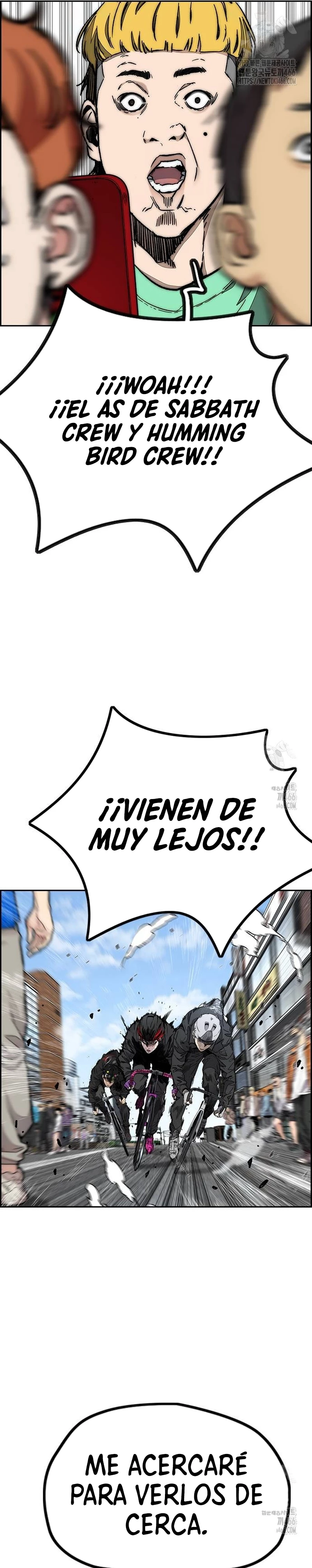 RompeVientos capítulo 530, página 24