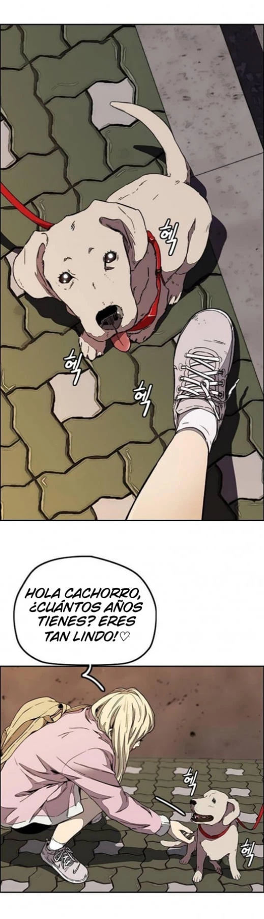 RompeVientos capítulo 355, página 24