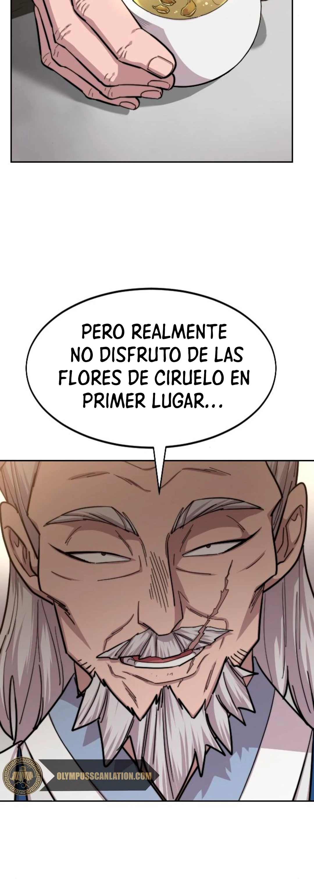 Secta de la montaña capítulo 55, página 8