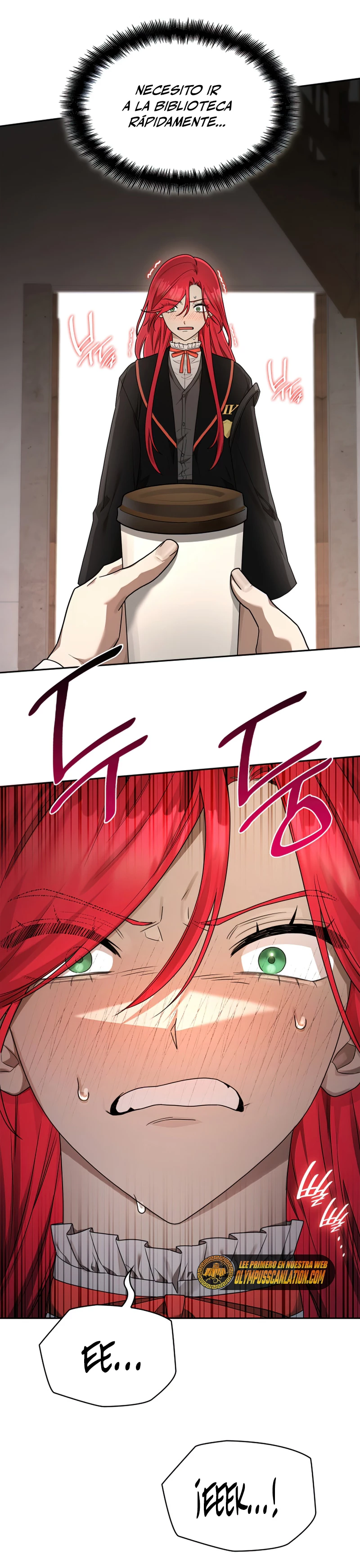 Shirone El Infinit0 (Mago infinito) capítulo 23, página 5
